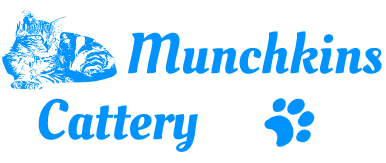Munchkins Cattery